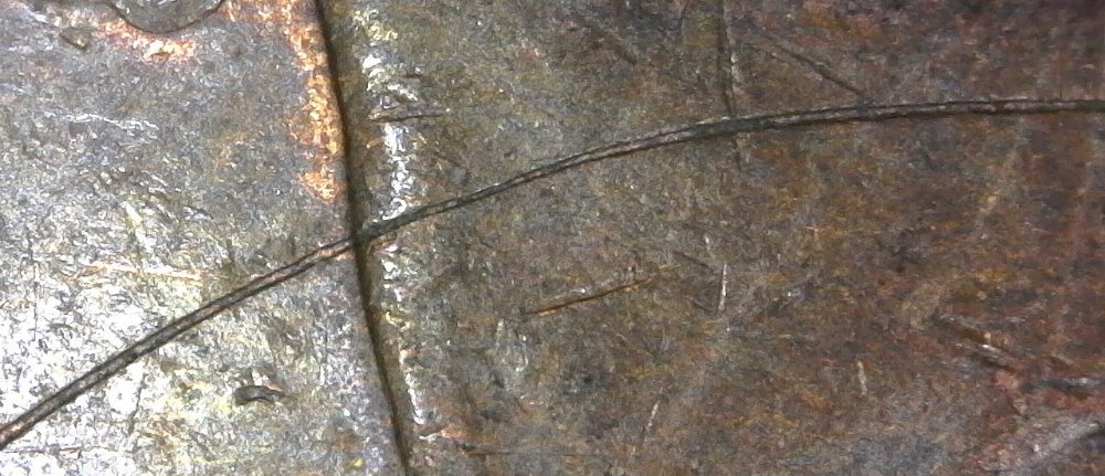1968-Canadian-Cent-Struck-Through-Found-CRH!